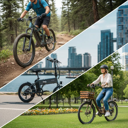  A collage image showing three different e-bikes in three distinct environments: a mountain trail, a city park, and a scenic path, conveying the diverse range of lifestyle e-bikes offered.