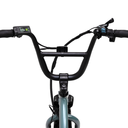 Rider view of Higgs Cargo handlebars with color LCD display and thumb throttle