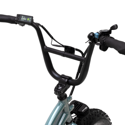 Side angle of LCD display and hydraulic brake levers on Higgs Cargo electric bike