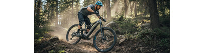 Labyrinth Electric "Ascent" | Trail (Class 1)