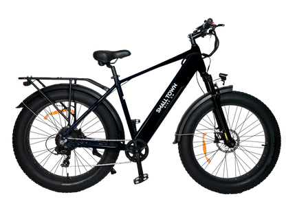 Fat Tire E-Bike | Class 2 All-Terrain