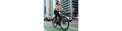 Labyrinth Electric "Nexus" | Urban Commuter (Class 2)
